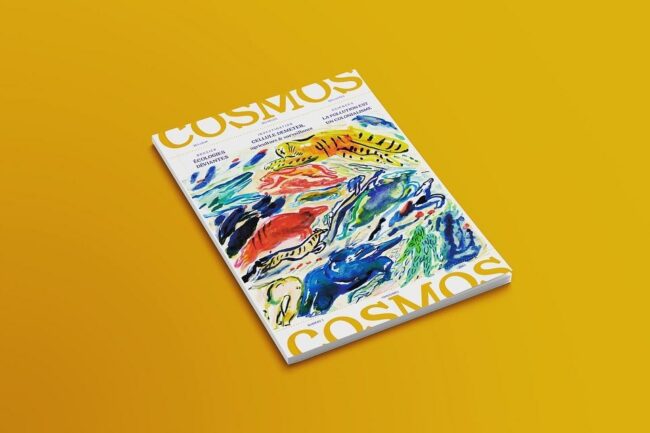 MILLE COSMOS revue — Matthieu Becker