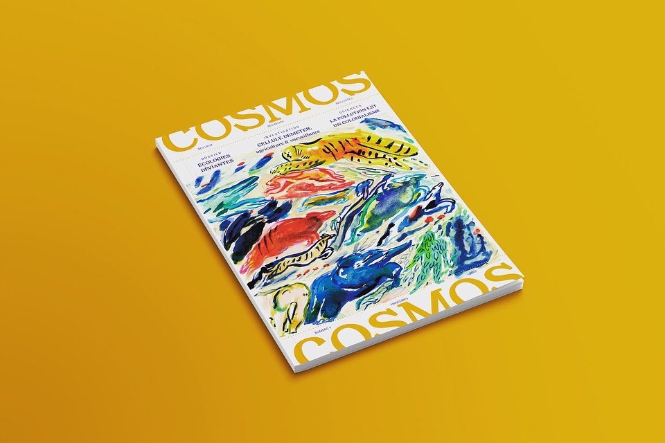 MILLE COSMOS revue — Matthieu Becker