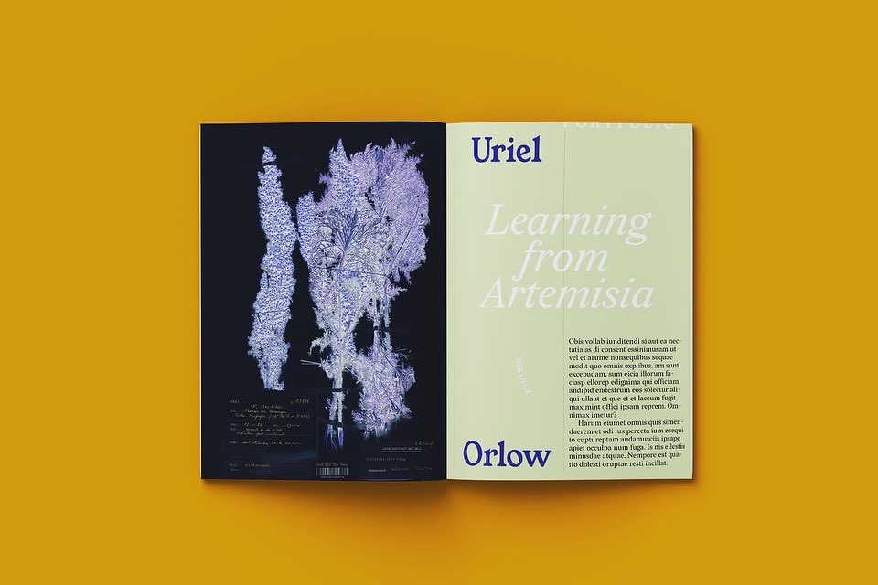 MILLE COSMOS revue — Matthieu Becker