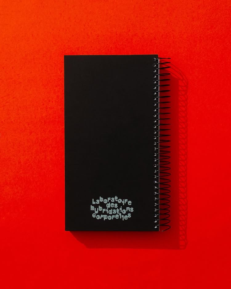 Le laboratoire des hybridations corporelles – Frédéric Adjanohoun